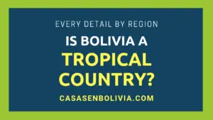 Read more about the article Is Bolivia a Tropical Country? All the Details by Bolivians