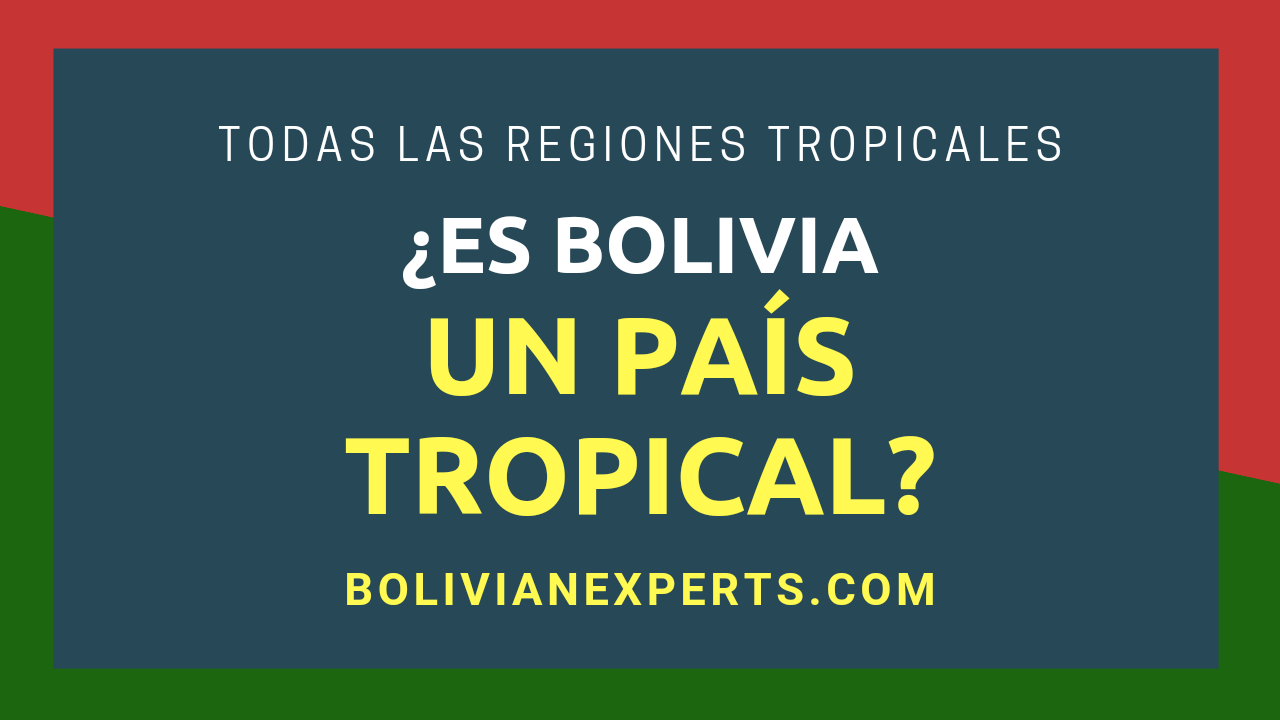 Lee más sobre el artículo ¿Es Bolivia un País Tropical? Cada Región Tropical Detallada