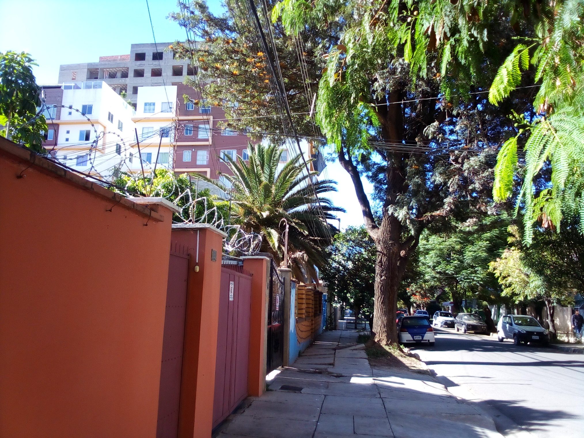 IMG 20230328 085516 655