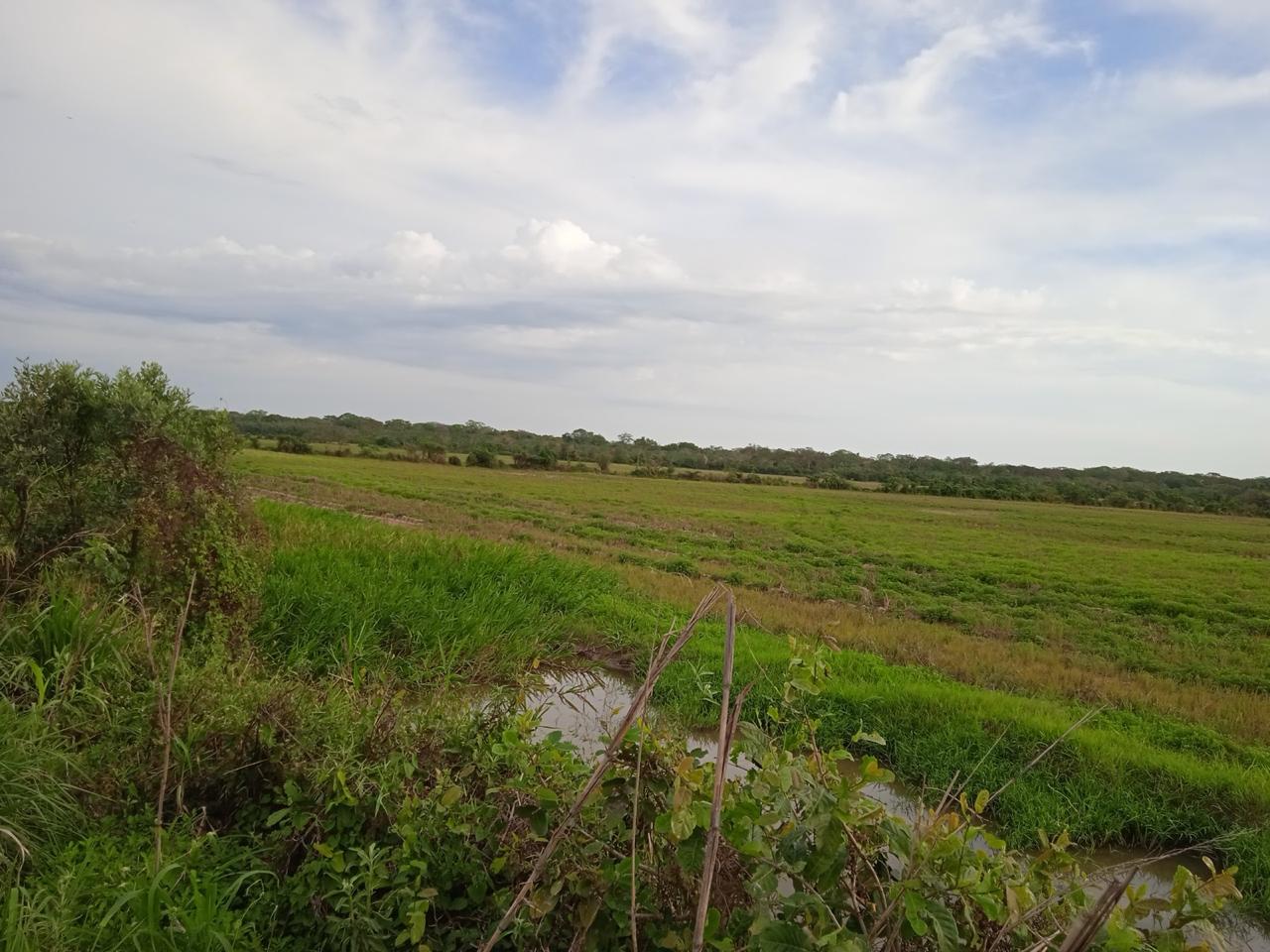 WhatsApp Image 2025 02 20 at 11.33.48 (3)