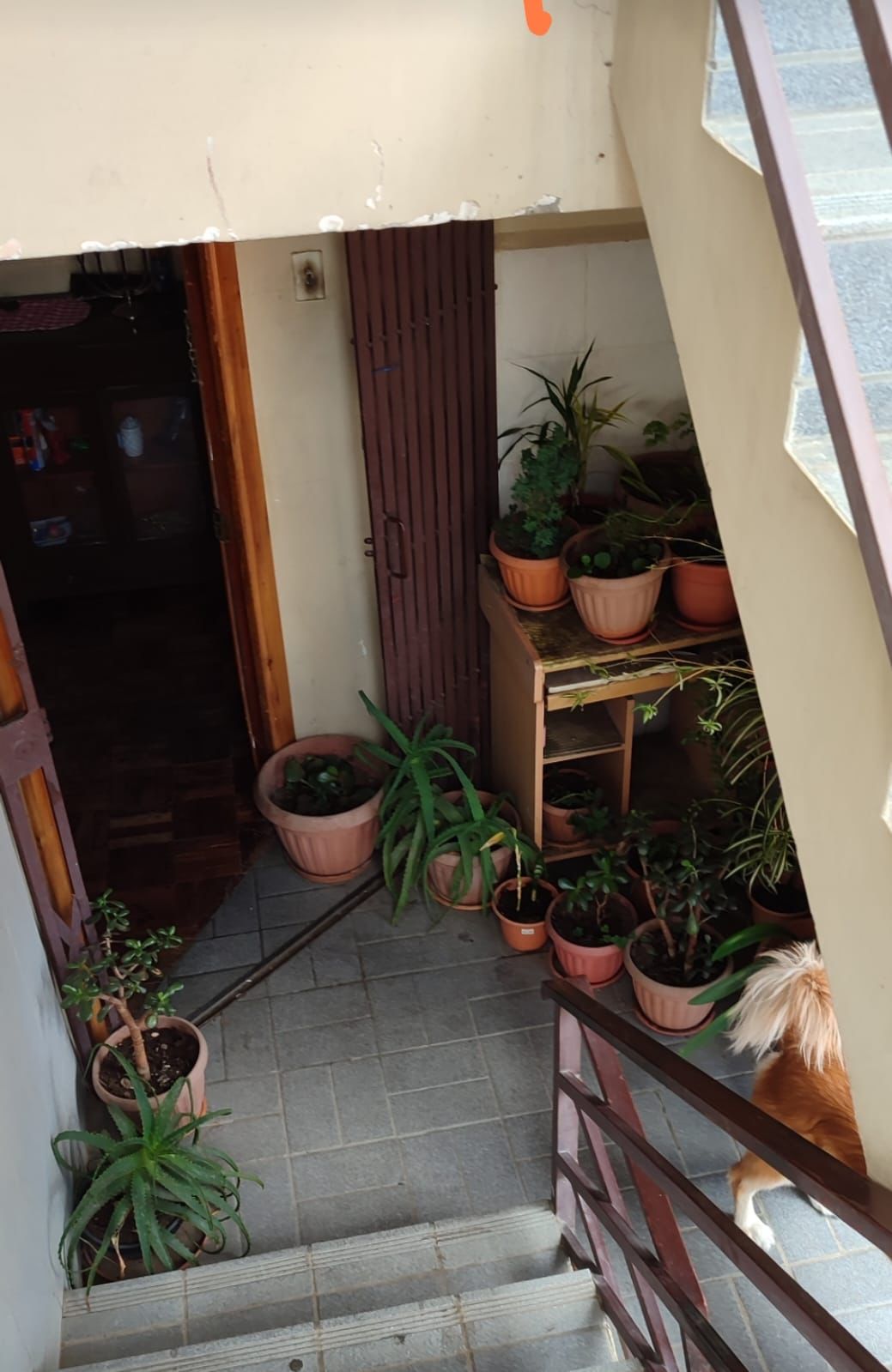 IMG 20250315 WA0190