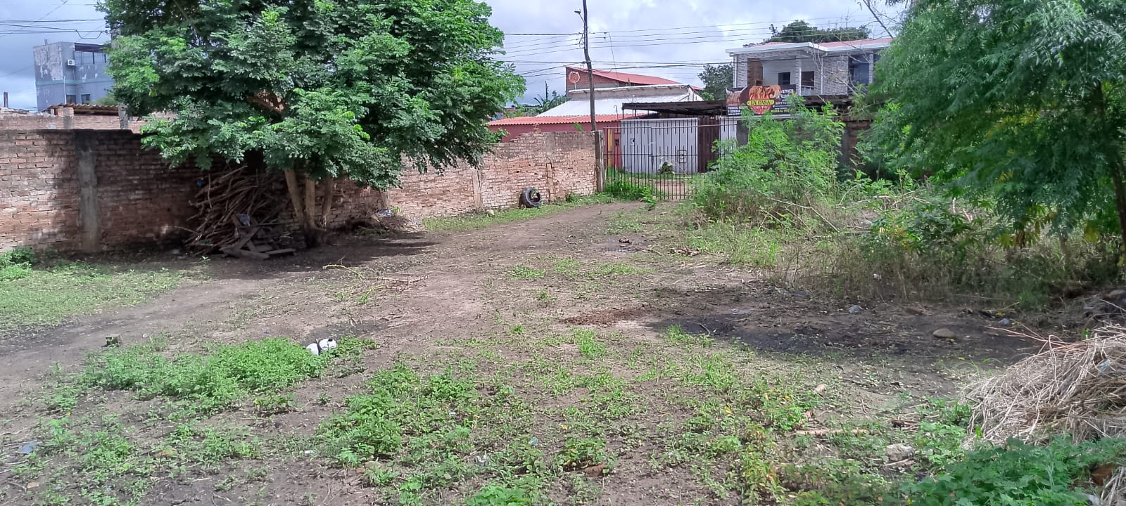 2 lote venta zonasur avenidaBlooming santacruz bolivia