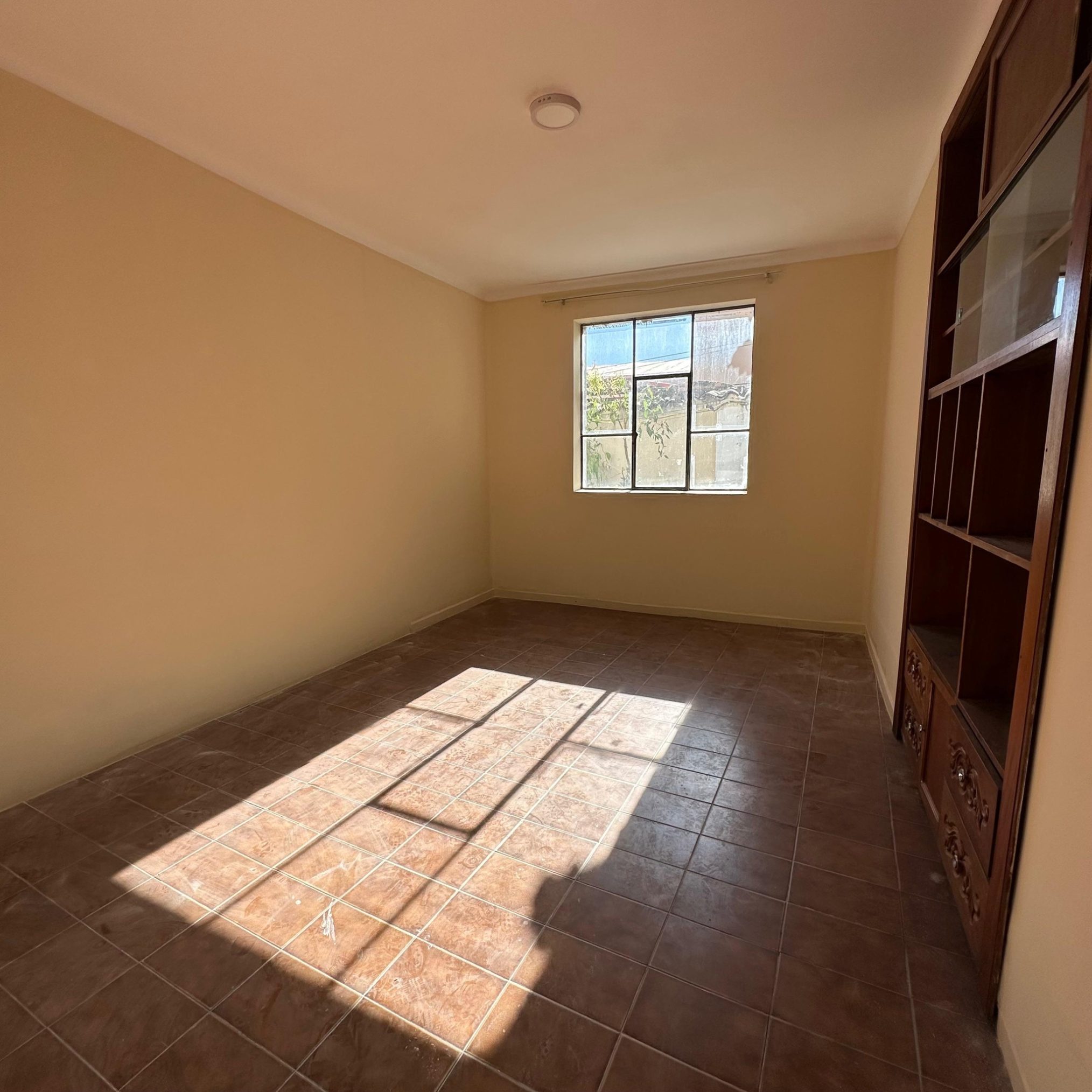 515502903 122203887818254408 4984548210010325862 n