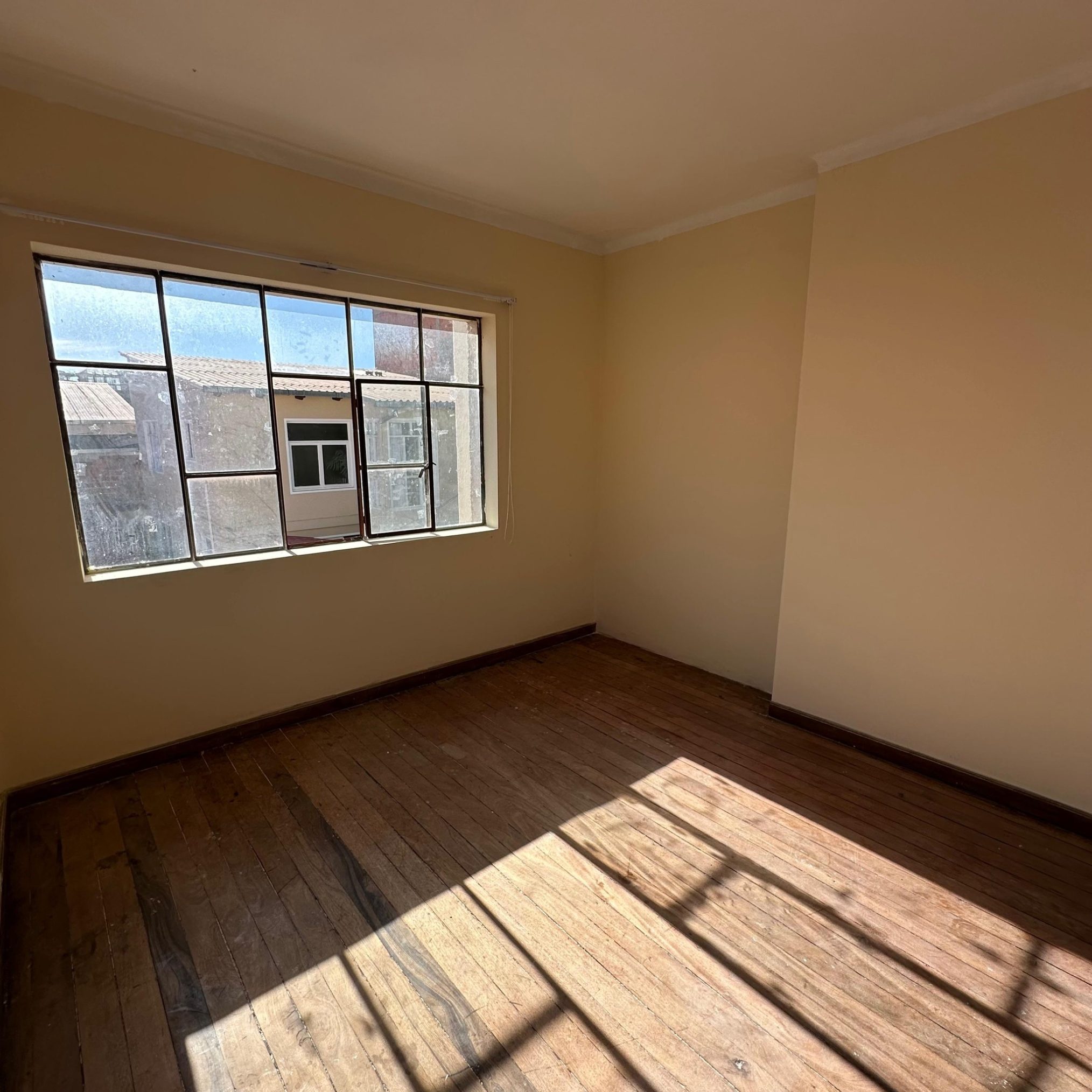 516192911 122203888040254408 6427135647842609092 n